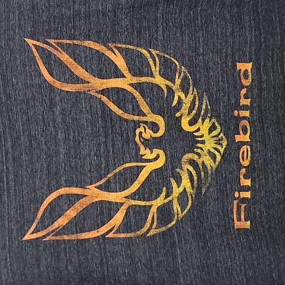Firebird GM Black & Orange Graphic Short Sleeve T-shirt L - Picture 2 of 11